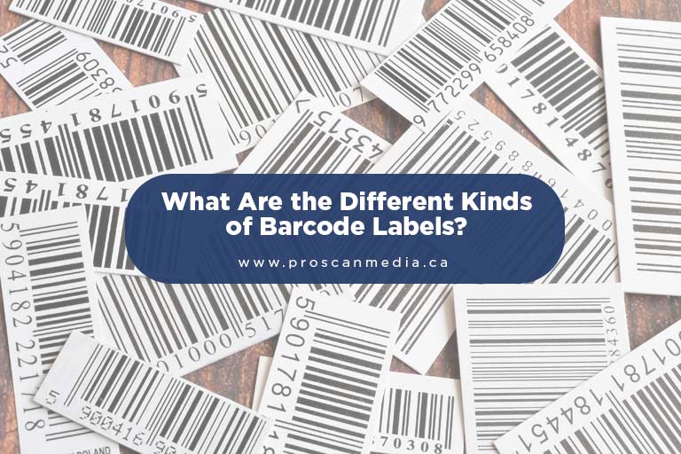 What Are the Different Kinds of Barcode Labels?